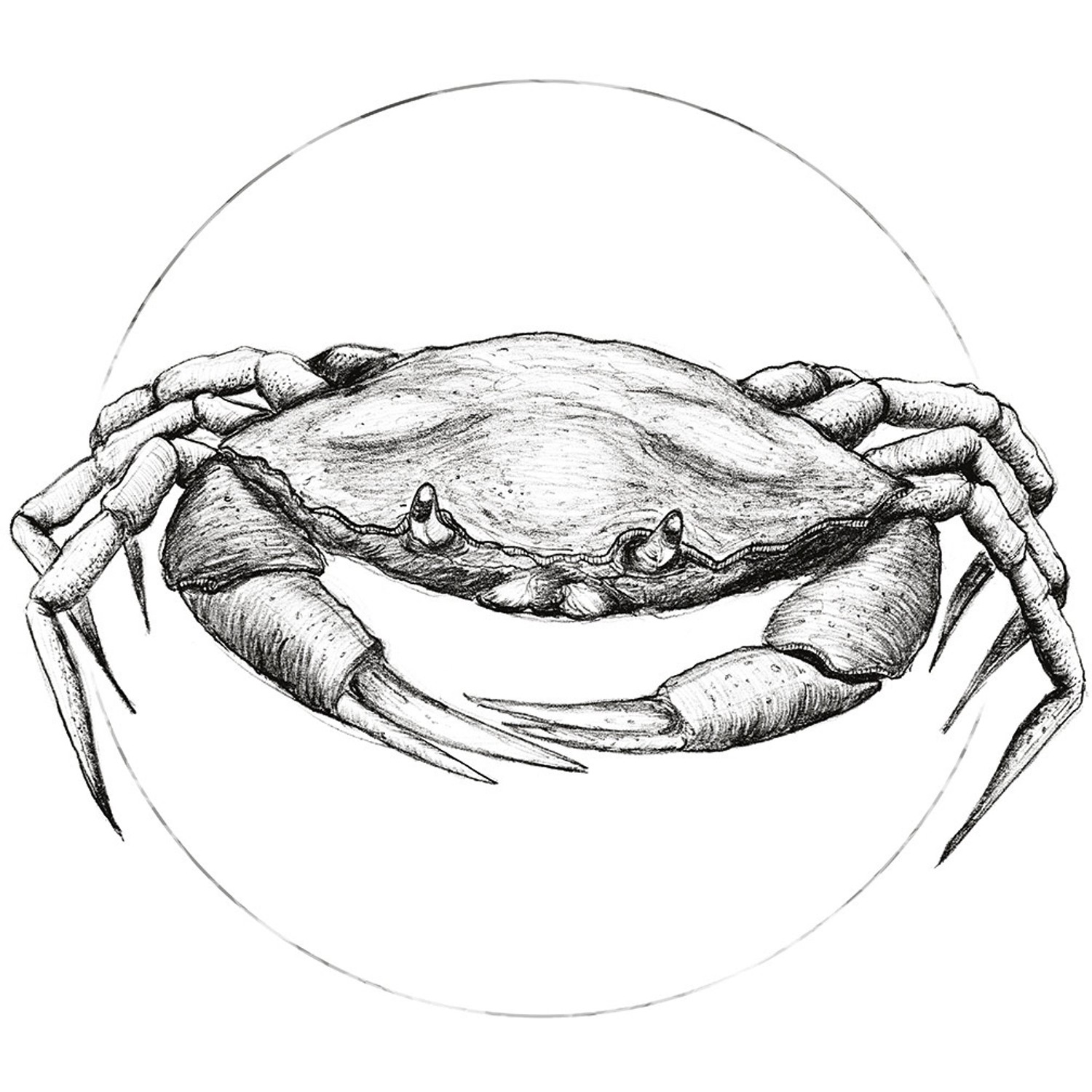 Komar Wandbild Crab White 50 x 70 cm