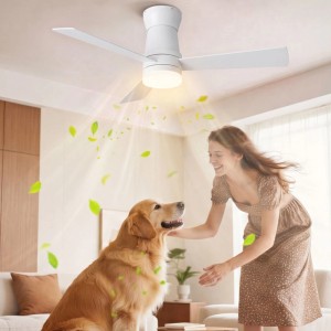 Weißer Deckenventilator mit 3 Flügeln und warmem Licht im Wohnzimmer. Zeigt effiziente Kühlung und Luftzirkulation, Frau und Hund genießen Komfort.