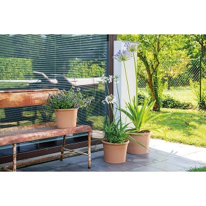 Deroma Pflanztopf Zylinder Bordato, 38 cm, Weiß, aus Terrakotta mit Pflanzen auf einer Terrasse.