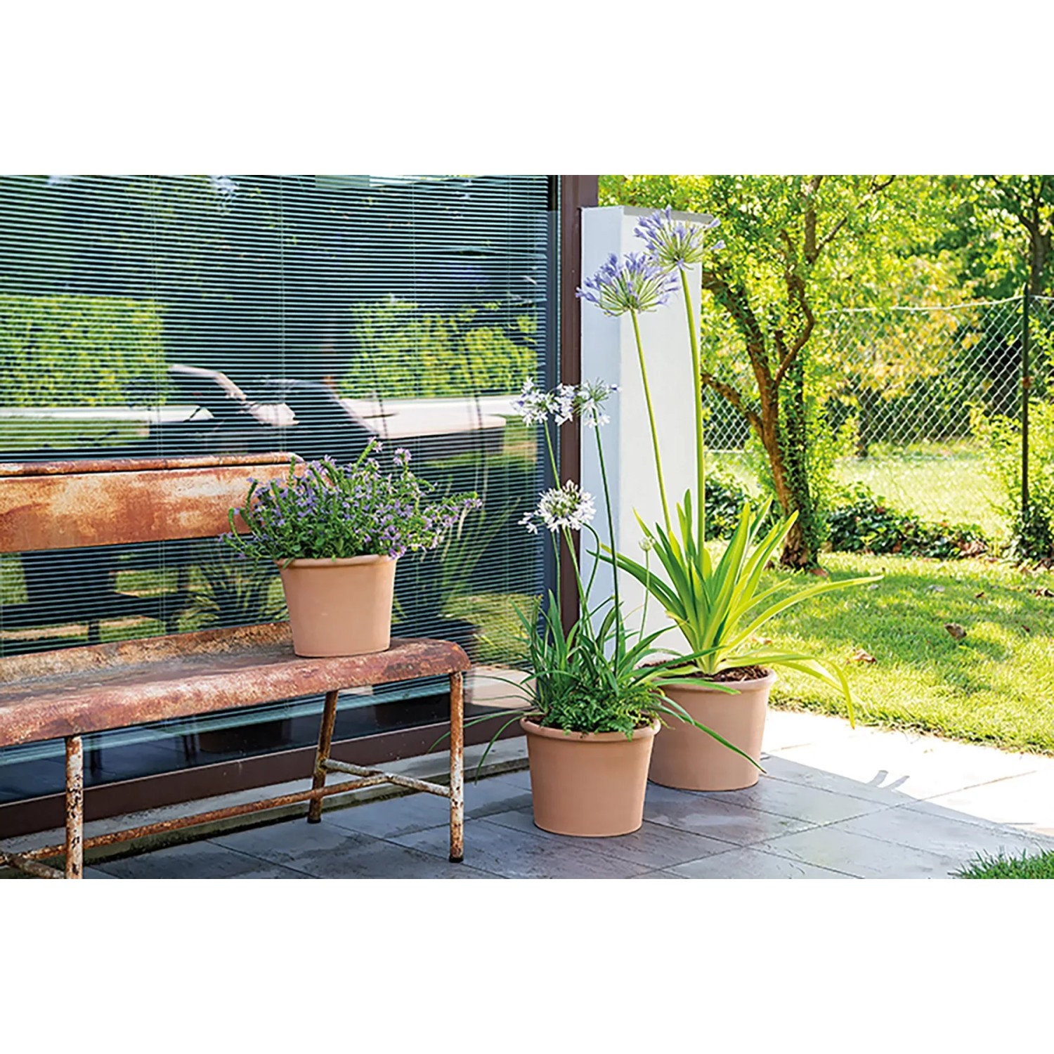 Deroma Pflanztopf Zylinder Bordato, 38 cm, Weiß, aus Terrakotta mit Pflanzen auf einer Terrasse.