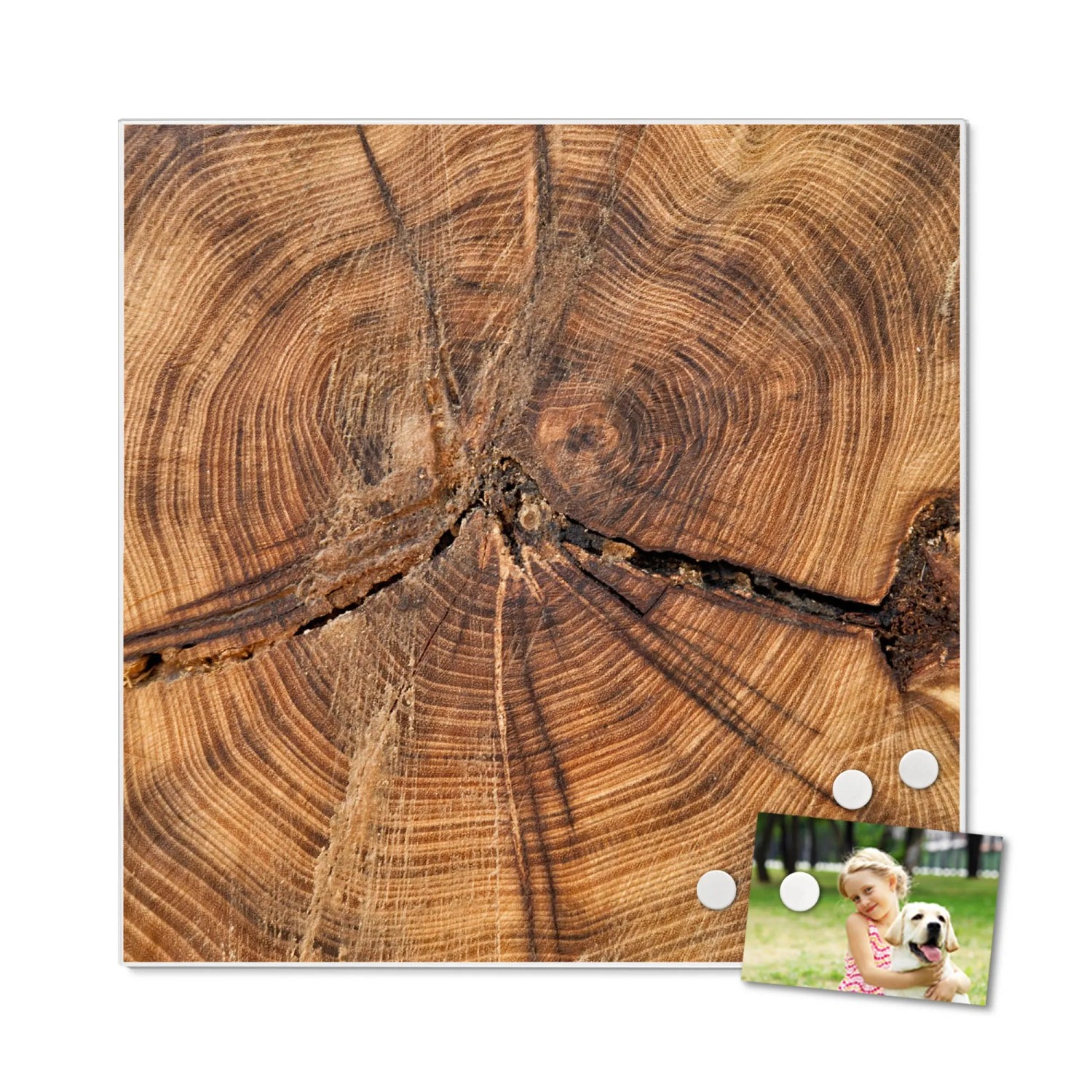 Banjado Glas-Magnettafel 50x50 Cm – Mit 4 Magneten, Beschreibbar, Motiv Erdkugel, Für Küche & Büro