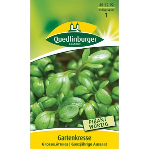 Samenpackung Quedlinburger Gartenkresse 'großblättrige' mit frischen, grünen Kresseblättern.