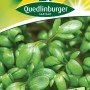 Samenpackung Quedlinburger Gartenkresse 'großblättrige' mit frischen, grünen Kresseblättern.