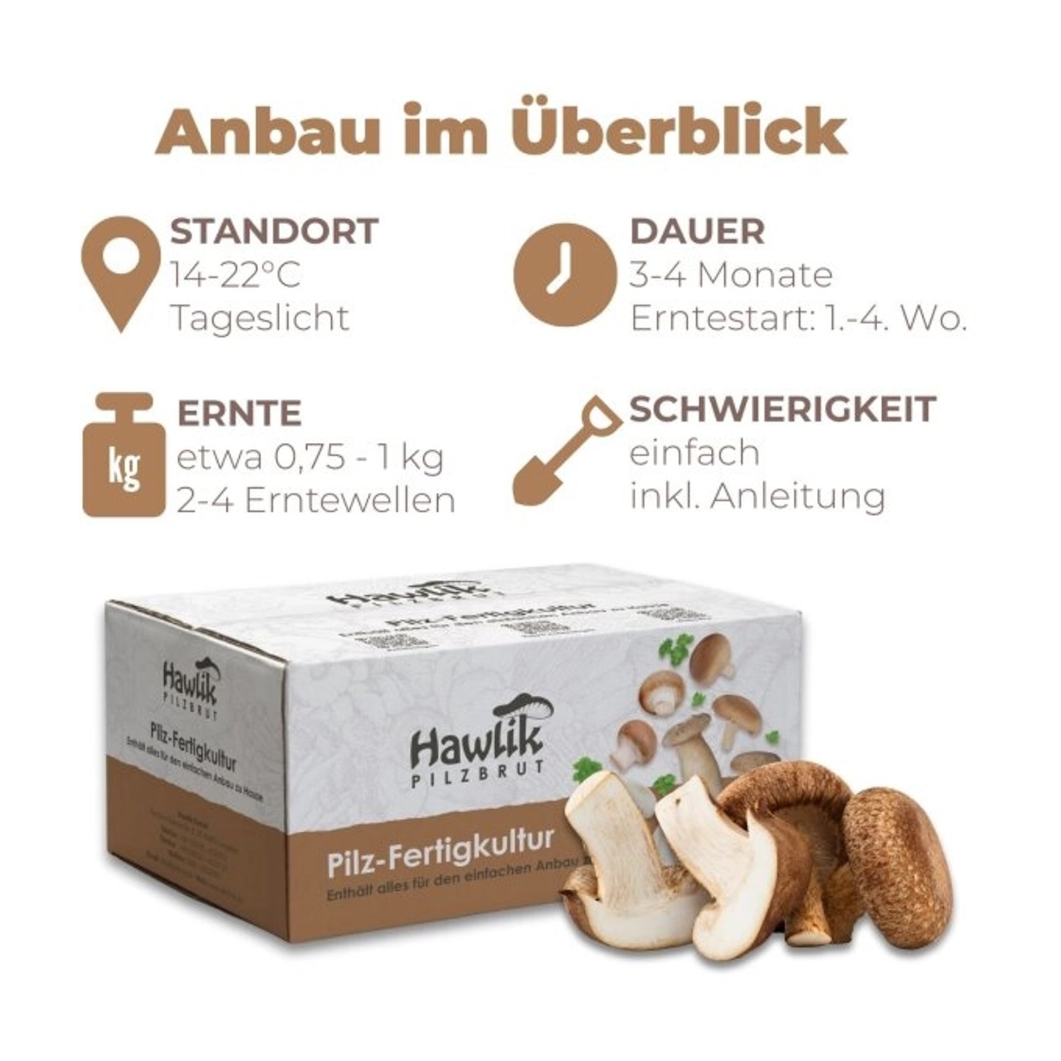 Hawlik Pilzbrut Pilzzuchtset-Bundle mit Bio Shiitake und Bio Kräuterseitling Pilzkultur für Pilzzucht Zuhause_2