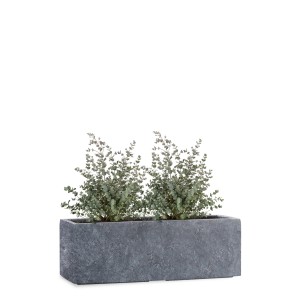 Anthrazit Pflanzwerk Pflanzkübel Tub Premium, frostbeständig, 50 cm, mit Bepflanzung.