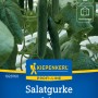 Kiepenkerl Profi-Line Gurken Euphya im Gewächshaus, resistent gegen Mehltau.