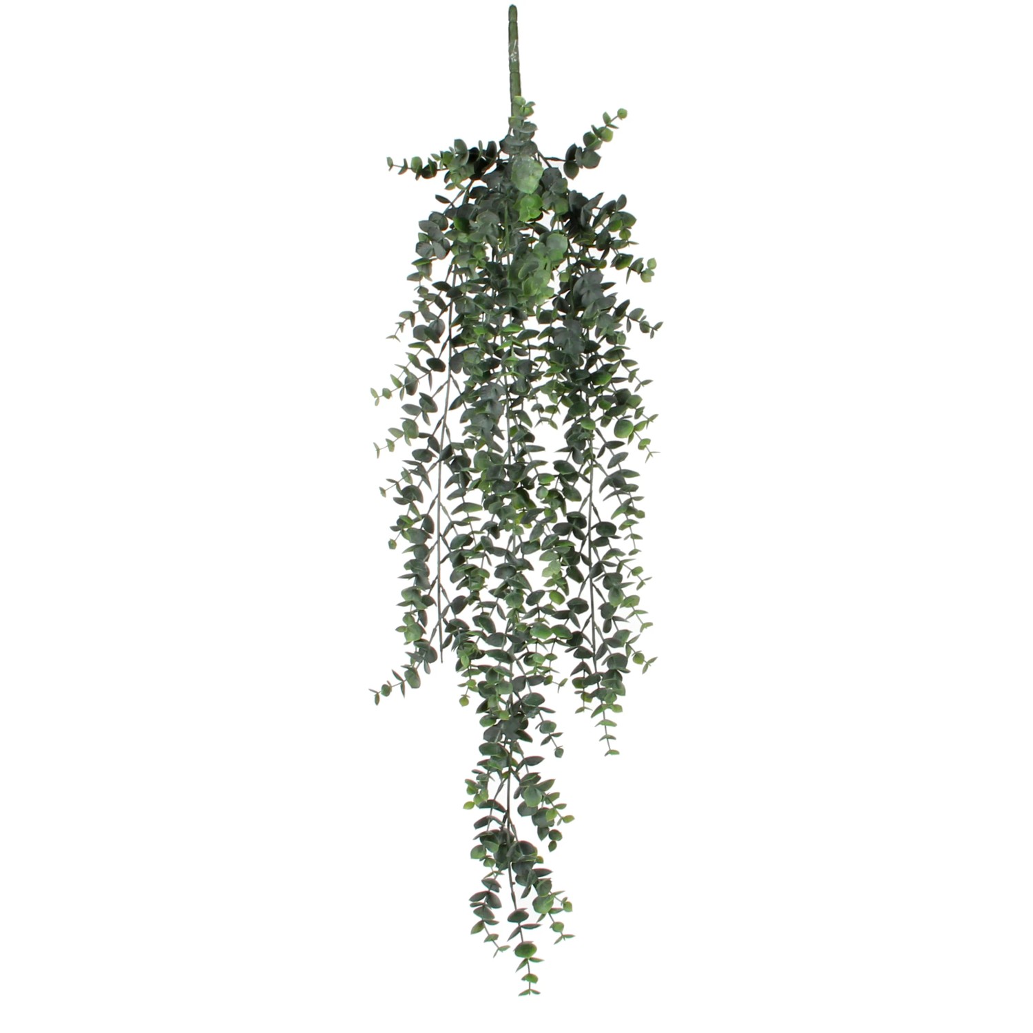 Mica Decorations Eukalyptus hängende Kunstpflanze Grün H 78 cm kaufen bei OBI