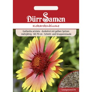 Dürr Samen Kokardenblume, dunkelrote Blüte mit gelben Spitzen, mehrjährige Blumensamen.