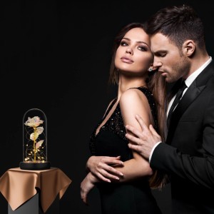 Relaxdays Rose im Glas Borosilikatglas Kiefernholz Kunststoff Bunt mit LED-Lichterkette 22 cm x 11 cm 390 g