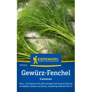 Kiepenkerl Gewürz-Fenchel Common: Kraut mit feinen, grünen Blättern für Tee und Gewürze.