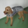 Grauer Heim Hundemantel Banbury, Größe S, mit Kragen an lockigem, braunem Hund.