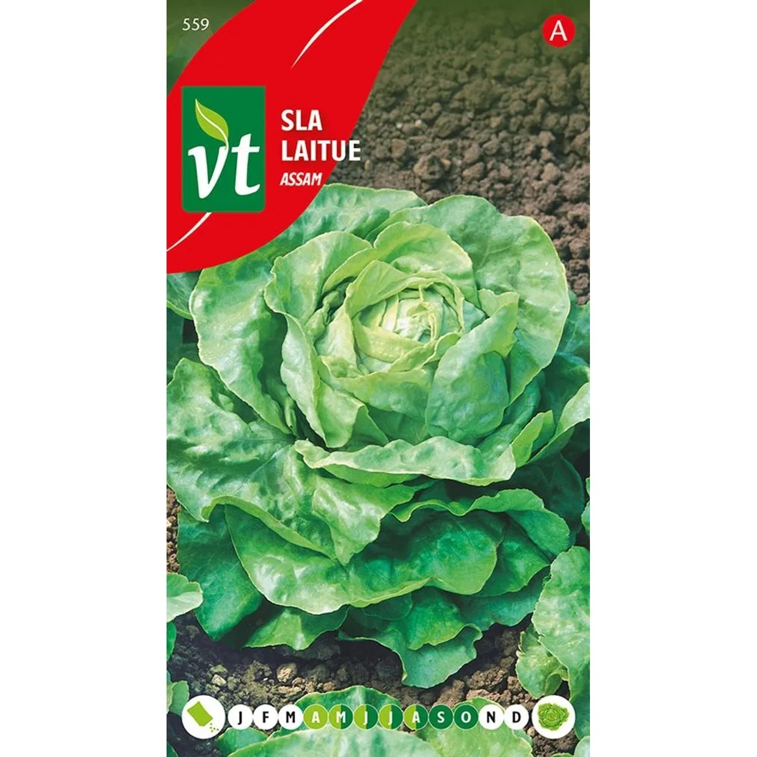 Kopfsalat 'Assam' Saatgut ca. 3 g Aromatisch