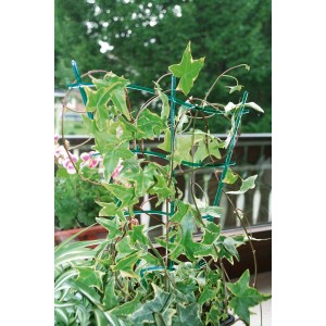 Grünes, gerades Blumengitter (30 cm) aus Kunststoff mit Efeu in einem Topf.