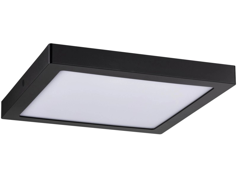 Paulmann LED-Panel Abia eckig 300x300 W, bei lm 22 Schwarz matt kaufen K, 3200 2.700 mm OBI