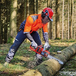 Einhell Akku-Kettensäge GP-LC 36/35 Li-Solo beim Sägen eines Baumstamms im Wald.