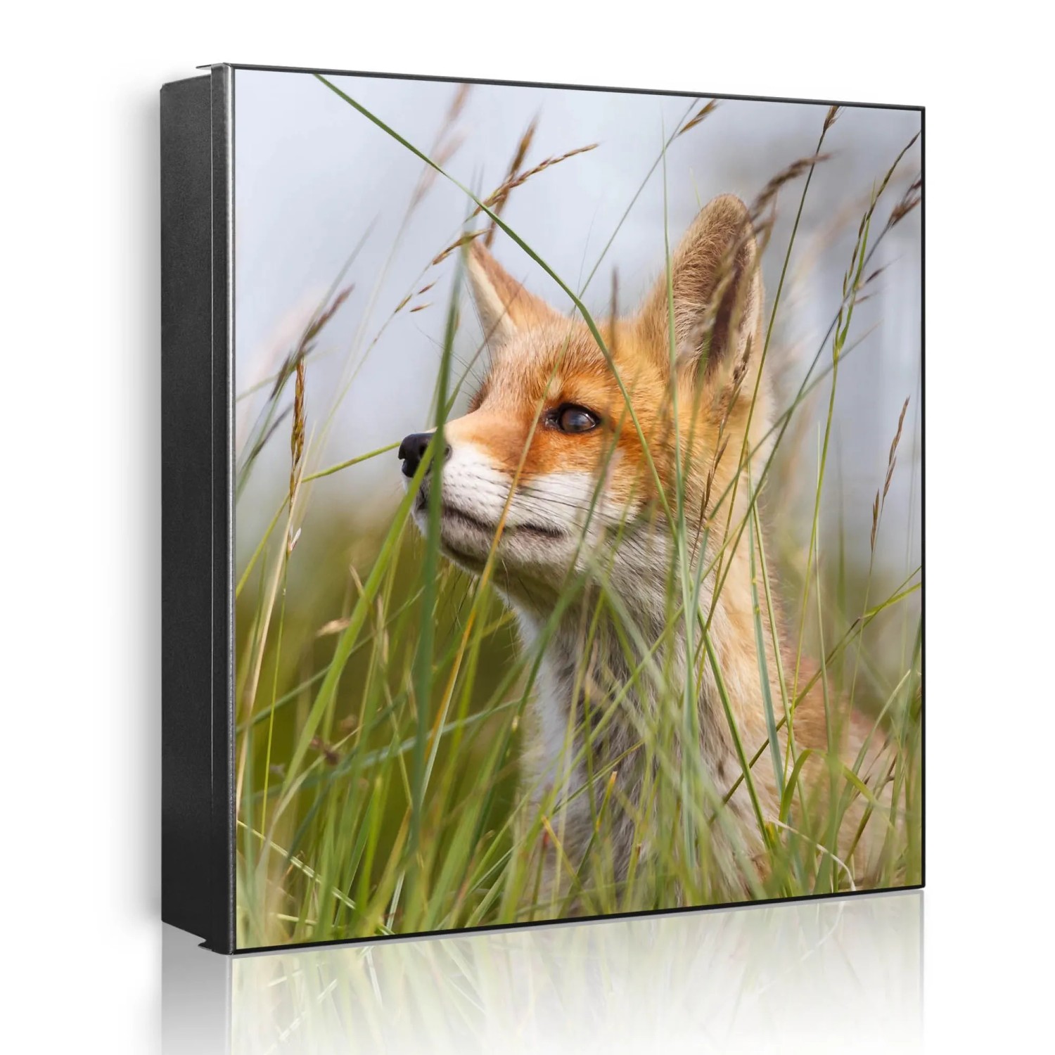 Banjado Großer Schlüsselkasten Metall 30x30cm Schwarz Scharnier Links 50 Haken Beschreibbar Magnetisch Motiv Fuchs