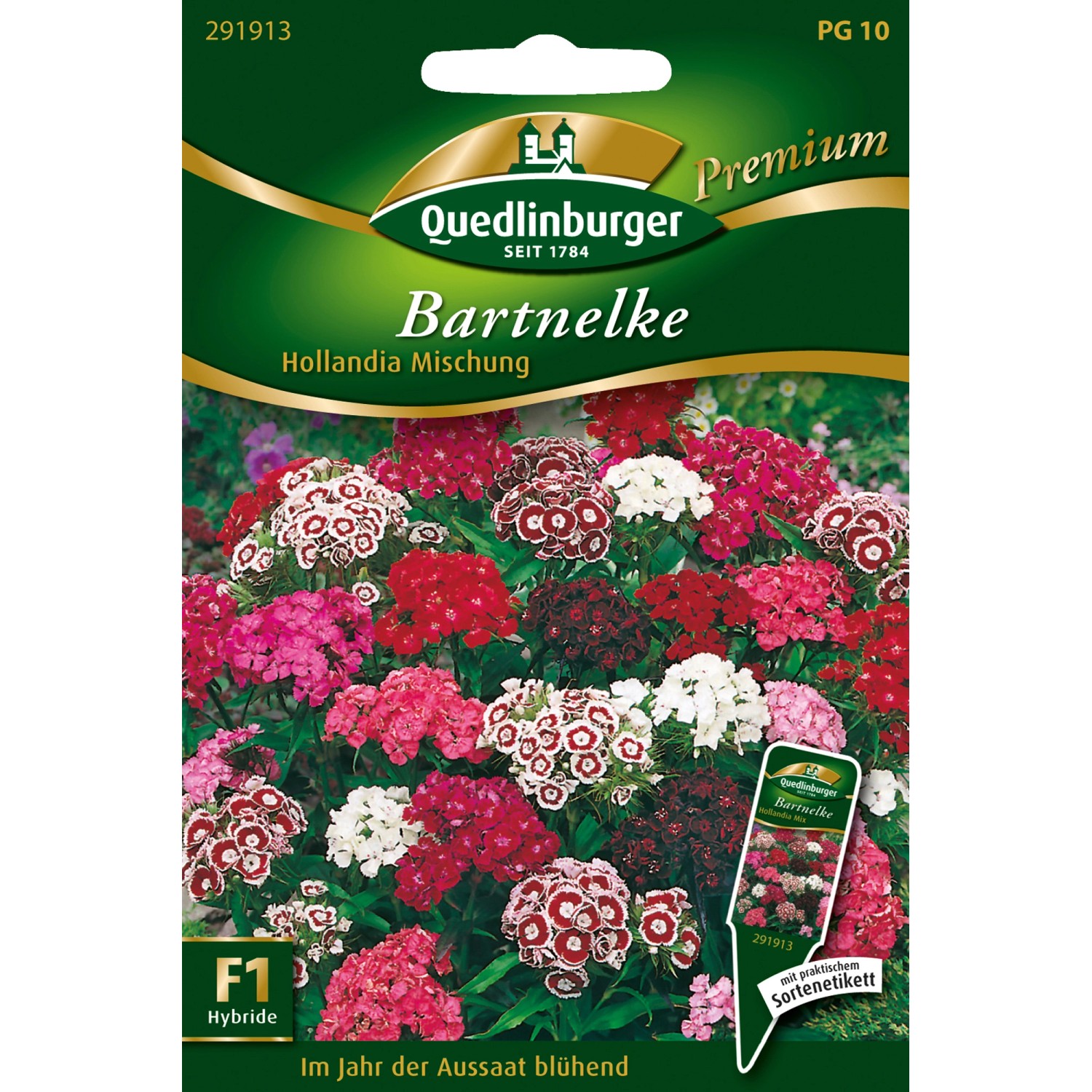 Quedlinburger Bartnelke ''Hollandia Mischung'' günstig online kaufen