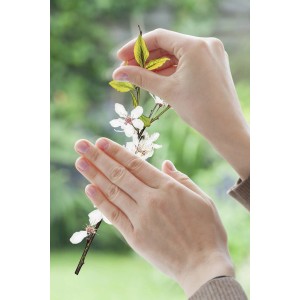 Anbringen des Komar Fensterstickers Cheerful mit Blüten, 30x30 cm, zur Wanddekoration.