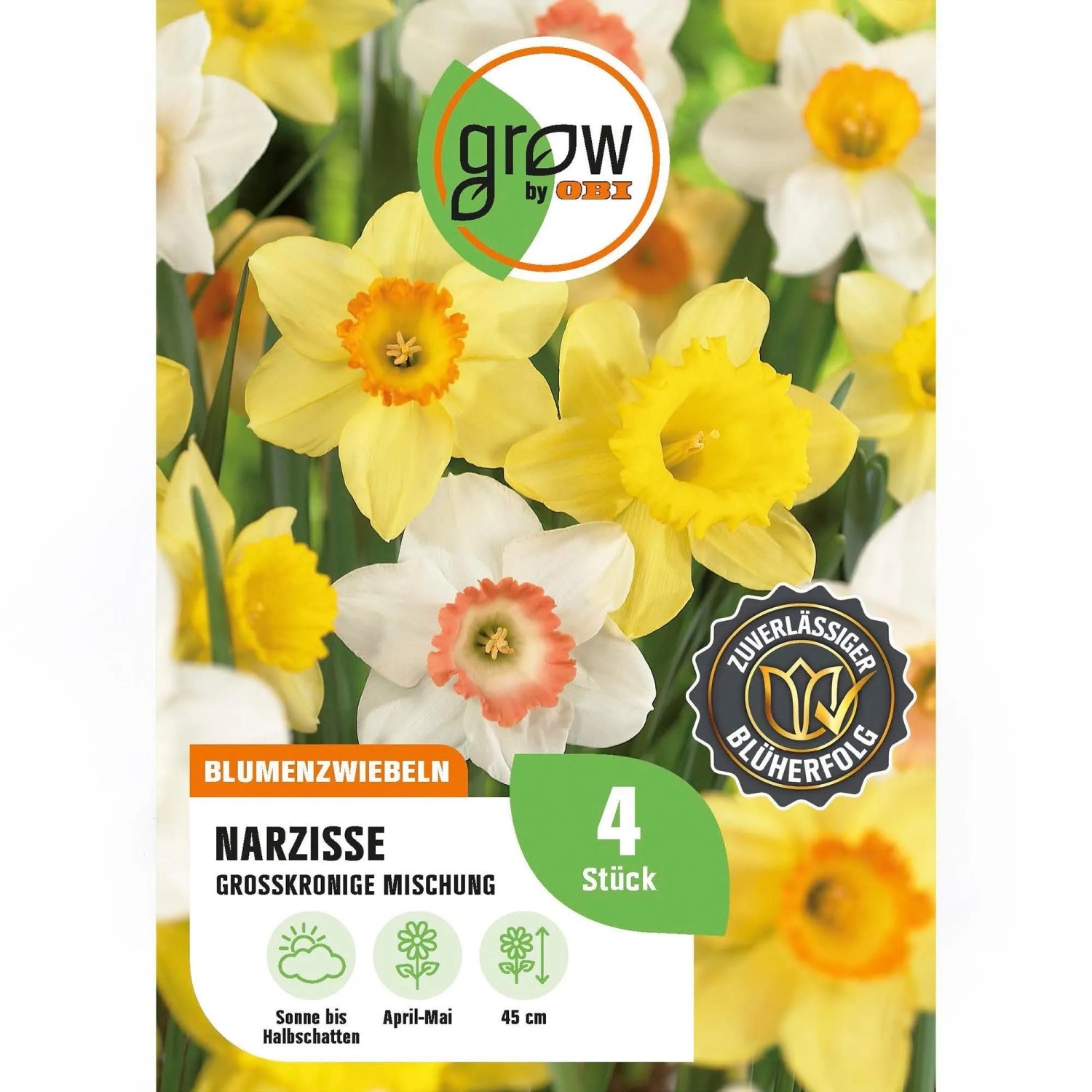 GROW by OBI Narzissen Mischung 4 Stück Narcissus large cupped Mixed