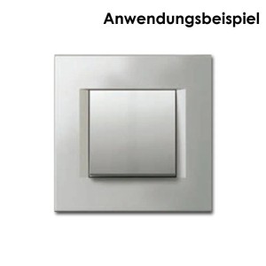 TEM MODUL PLUS 1-Fach UP Rahmen Silber Elox Line