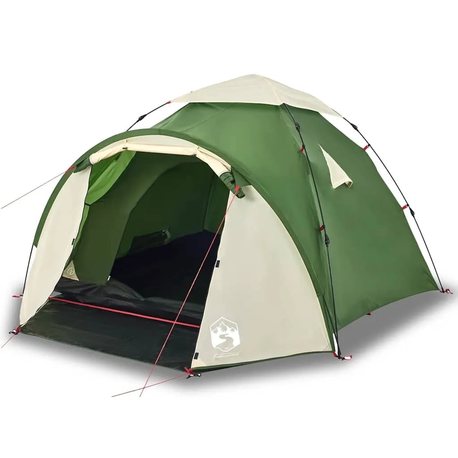 Furnicato Campingzelt Kuppel 290 X 220 X 150 Cm Grün