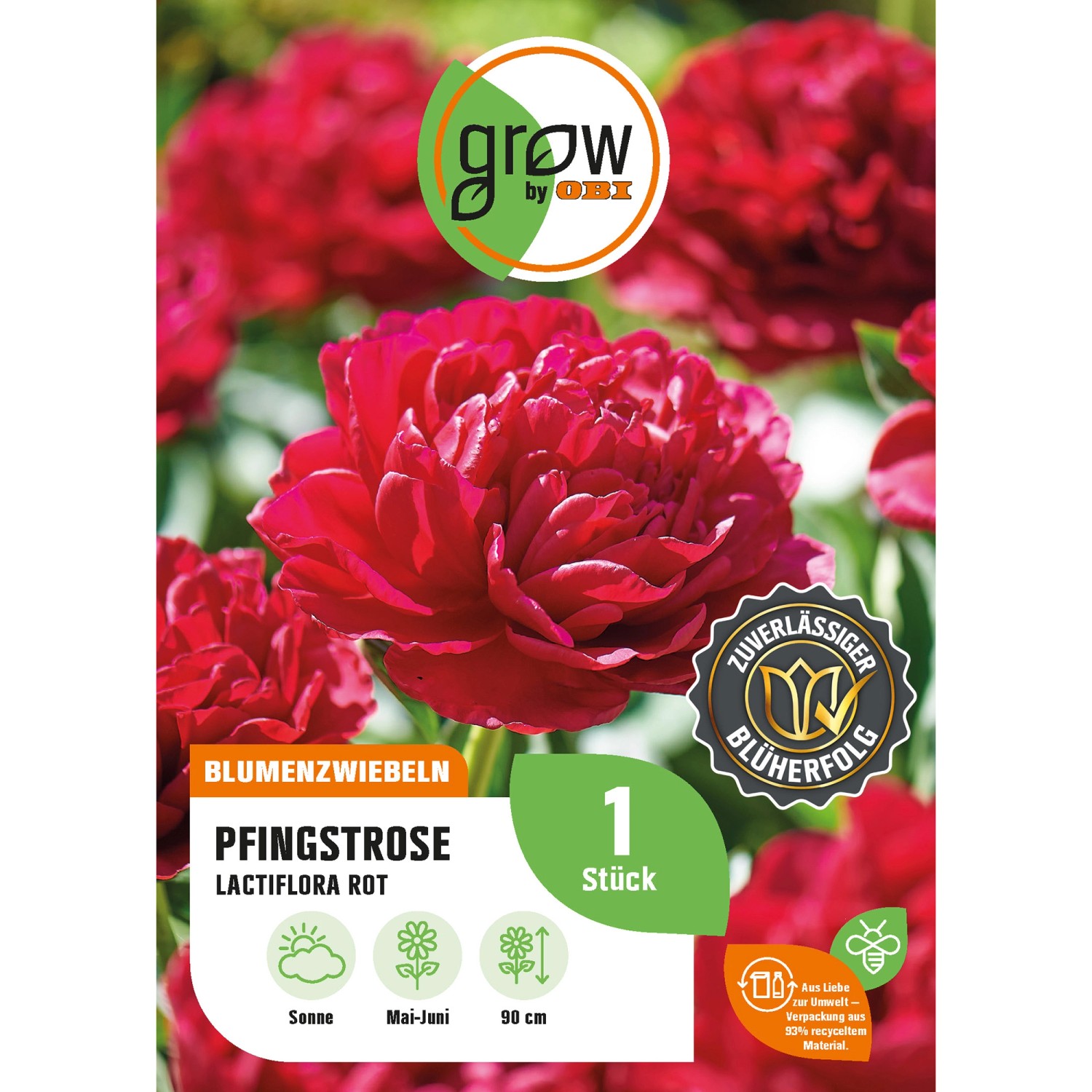 GROW by OBI Pfingstrose Lactiflora Rot Höhe ca. 80 cm Paeonia lactiflora günstig online kaufen