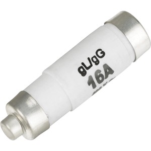 Weiße Schmelzsicherung D01/E14, 16A, träge, mit silbernen Endkappen. Schutz vor Überstrom.