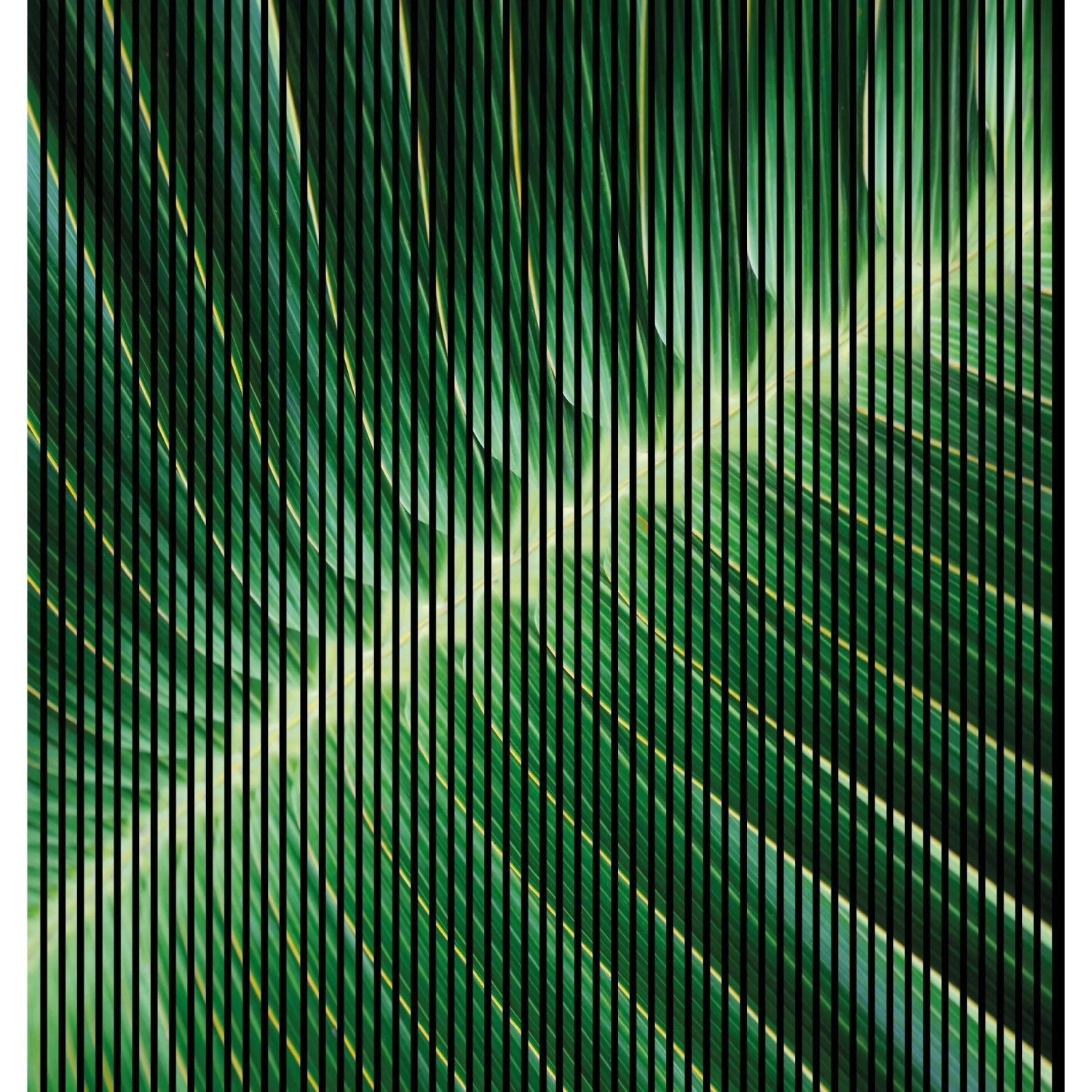 FN Acustico Akustikplatte Blatt 1 PET u. MDF Foliert 2.253 x 19 x 2.400 mm