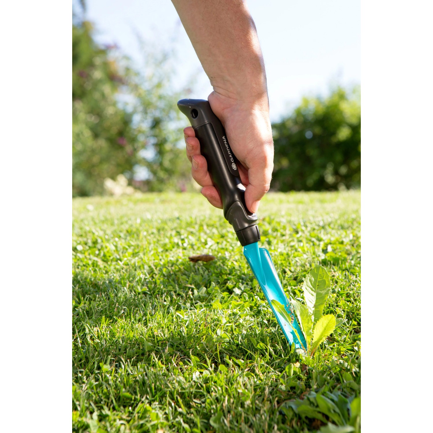 Gardena Unkrautstecher im Einsatz: Hand entfernt Unkraut aus dem Rasen mit dem Unkrautentferner.