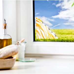 Windhager Fenster-Fliegenfalle (2 Stk.) am Fenster, dezenter Insektenschutz mit Muster.