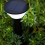 Schwarze Lutec LED Solar-Wegeleuchte Karlo, 45 cm hoch, im Garten zwischen Pflanzen.