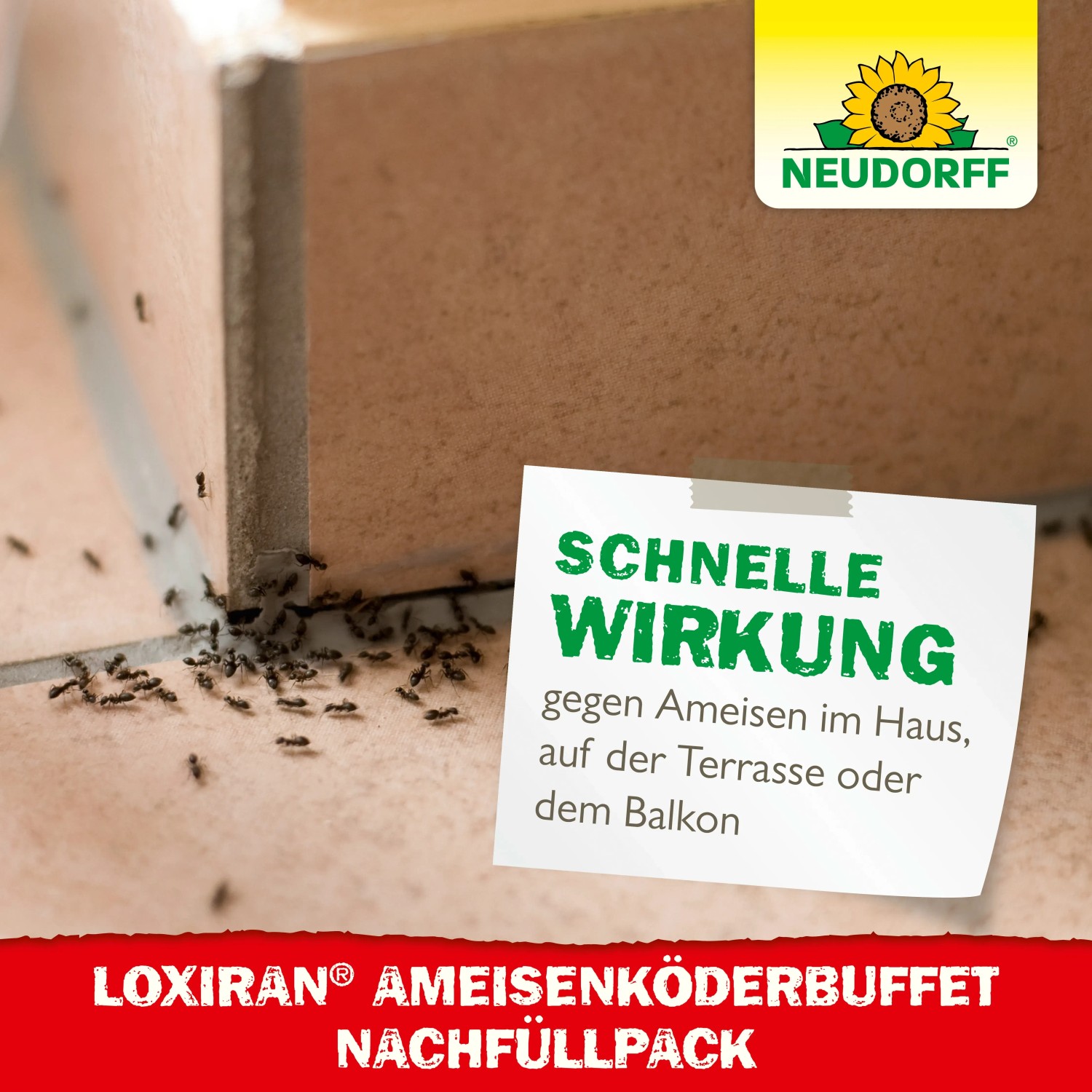 Neudorff Loxiran Ameisen Köder Nachfüllpackung mit Ameisen auf Fliesen.