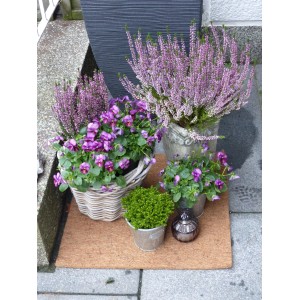 Rechteckige, naturfarbene Kokosfaser Mulchmatte (50x50 cm) mit diversen bepflanzten Blumentöpfen.