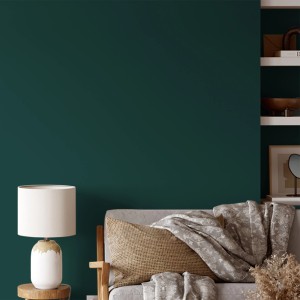 Wohnraum mit Wandfarbe in Tiefes Waldland Grün von V&CO, matte Premium-Innenfarbe.