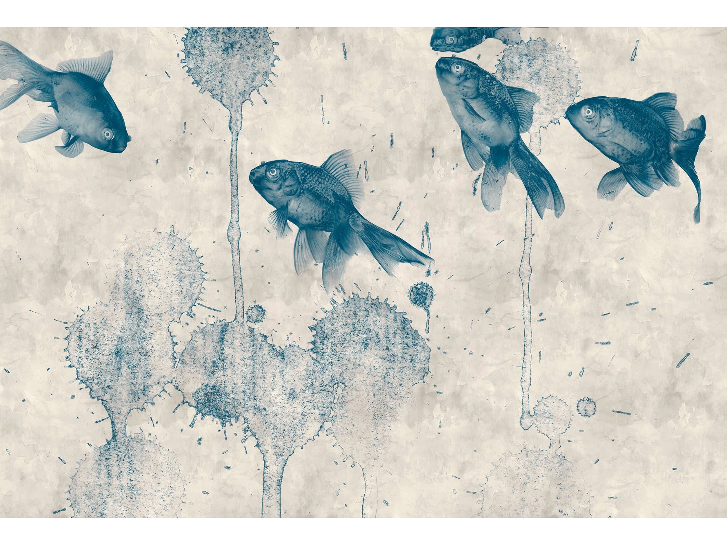 Fototapete Fische Teich Grau Blau 4,00 m x 2,70 m FSC® kaufen bei OBI, حجم الصورة 2400x1800