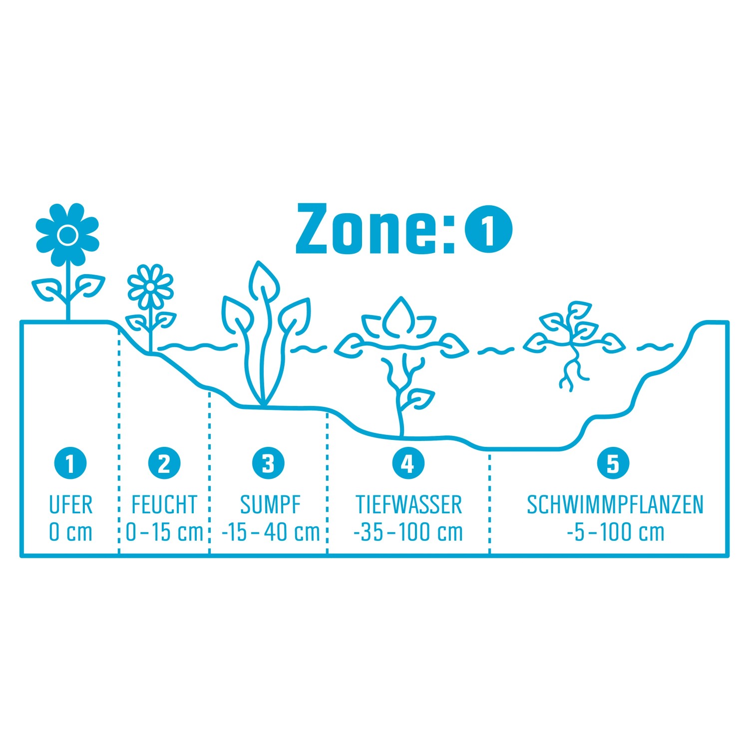 Grafik: Teichzonen für Ufer-, Feucht-, Sumpf-, Tiefwasser- und Schwimmpflanzen.