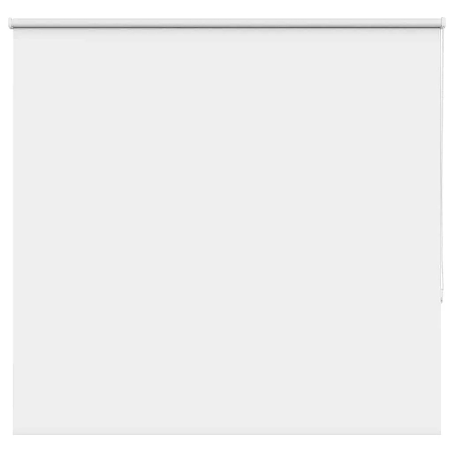 vidaXL Verdunkelungsrollo Weiß 150x175 cm Stoffbreite 146,6 cm 4011944 günstig online kaufen