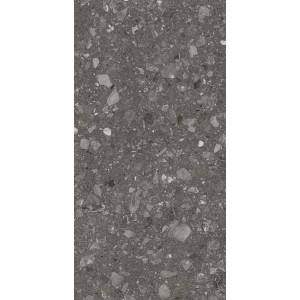 Feinsteinzeug Bodenfliese in Anthrazit, 60x120 cm, matte Steinoptik für Innen- und Außenbereich.