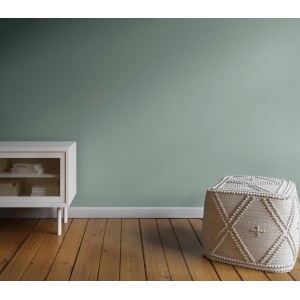 Wand in Agavengrün mit CREATE! Lieblingsfarben Wandfarbe, matte Innenfarbe.