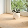 vidaXL Fensterbänke 2 Stk Unbehandelt 90x40x2 cm Massivholz Eiche 4009119_3