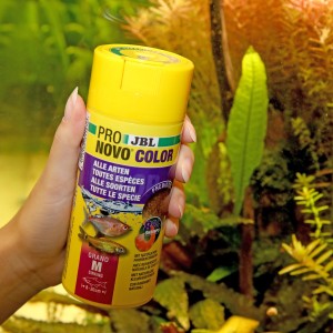 JBL Pronovo Color Grano M Fischfutter, 250ml Dose für Aquarienfische.