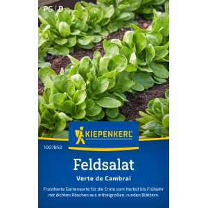 Kiepenkerl Feldsalat Verte de Cambrai Samen mit grünen Blattrosetten.
