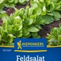 Kiepenkerl Feldsalat Verte de Cambrai Samen mit grünen Blattrosetten.
