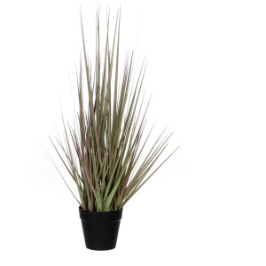 Kunstpflanze Gras Violett im Topf, 53cm hoch. Dekorative Zimmerpflanze für Innen.