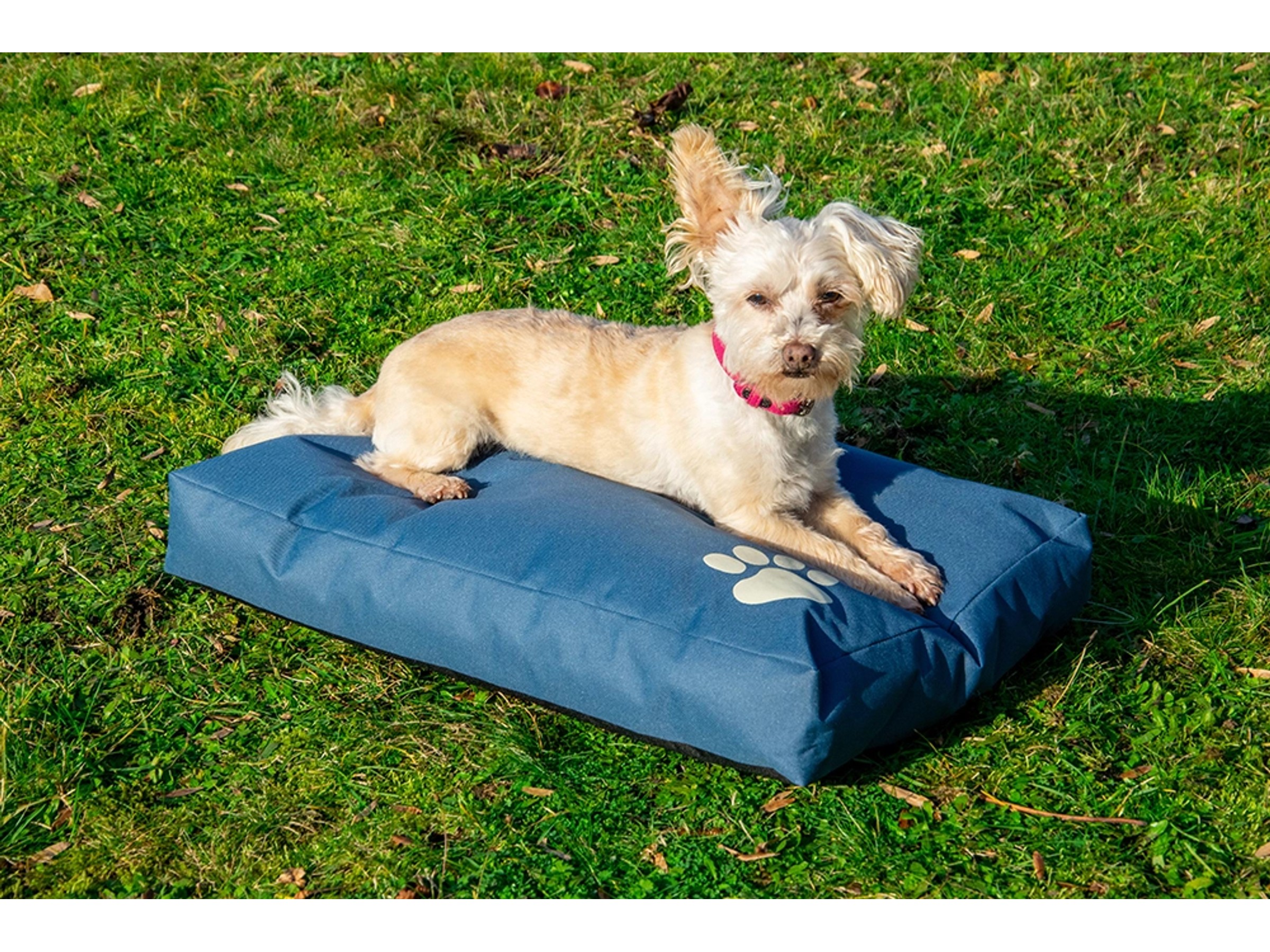 Outdoor Allwetter Hundebett Wasserdicht – Orthopädischer Eierschaum, Abnehmbarer Bezug, Für Große Hunde, 4 Größen