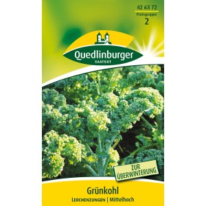 Samenpackung Quedlinburger Grünkohl 'Lerchenzungen', grüner Winterkohl für die Überwinterung.