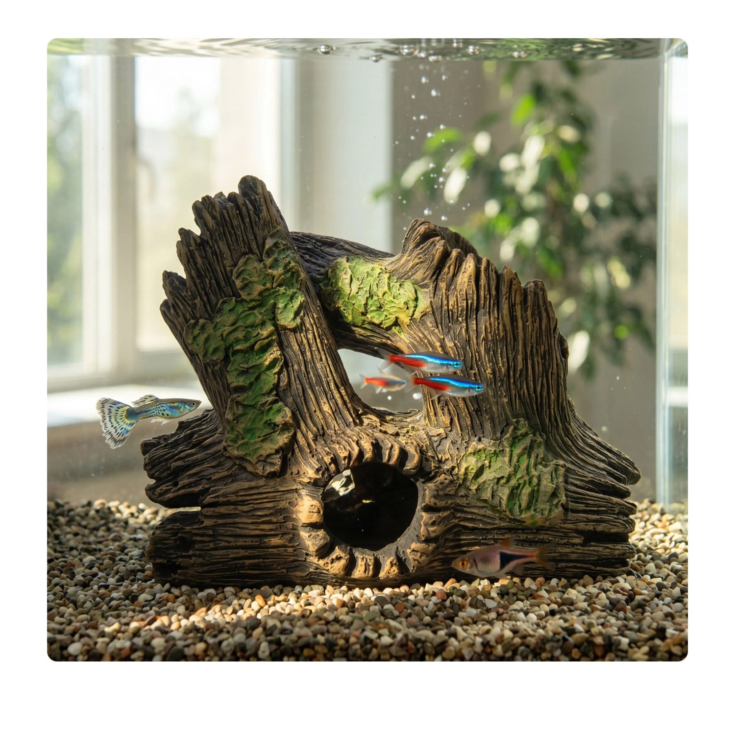 Relaxdays Aquariumdekoration Polyresin Braun Ungiftig Versteckhöhle 17 cm x 20 cm x 10 cm 0,25 kg_2