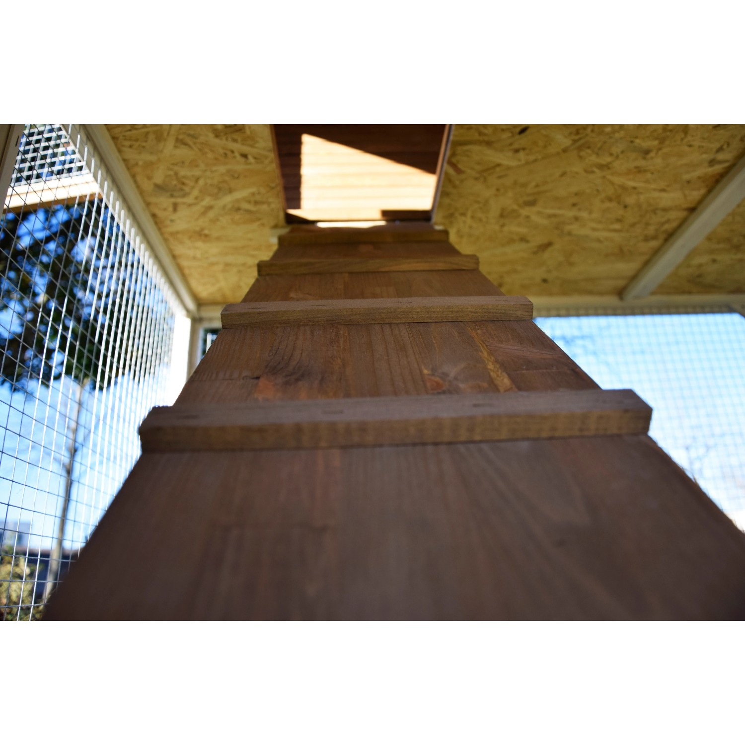 Detailaufnahme Rampe zum Hühnerstall/Kleintierstall XL mit Freigehege