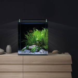 Dennerle Aquarium Nano Cube Complete 60 l