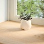vidaXL Fensterbänke 2 Stk Unbehandelt 110x40x2 cm Massivholz Eiche 4009121_3